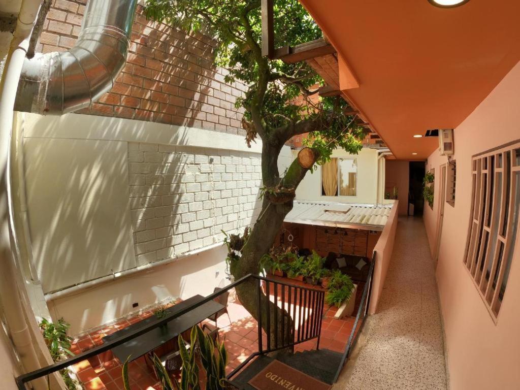 Hostal Casa Primavera Μεντεγίν Εξωτερικό φωτογραφία